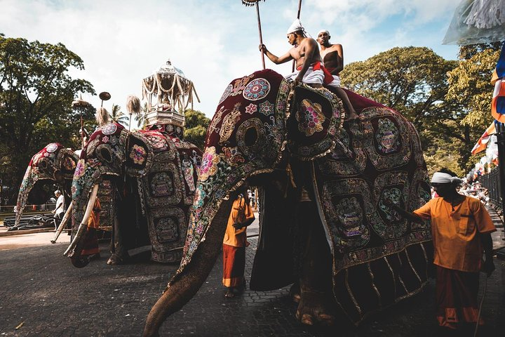 August Kandy Festive Tour - Photo 1 of 11